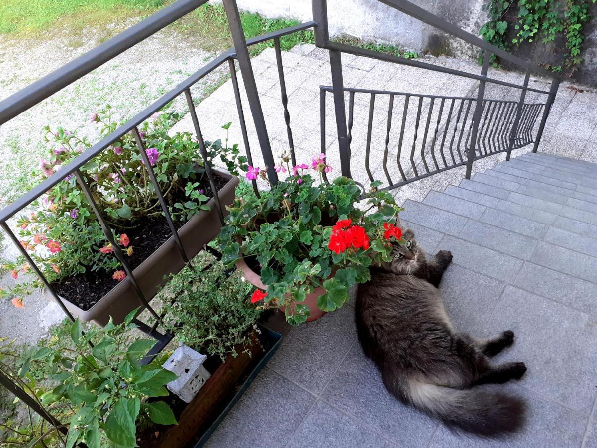 Le Girandole Apartman Como Kültér fotó